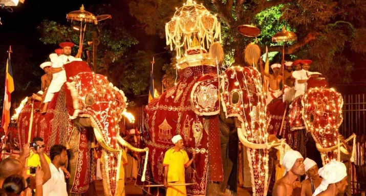 Decorated elephants at a <i>perahera</i> in Sri Lanka. From angelstravels.com.