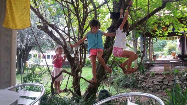 Children tree-climbing near the temple dining room. Image courtesy of the author