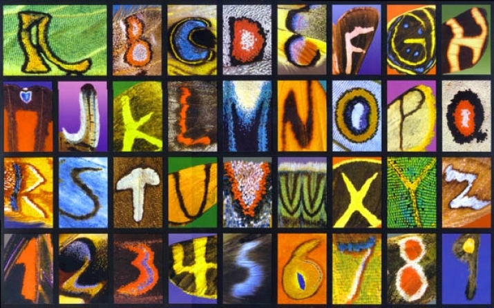 <i>The Butterfly Alphabet</i> by Kjell B. Sandved. From rshirley.com