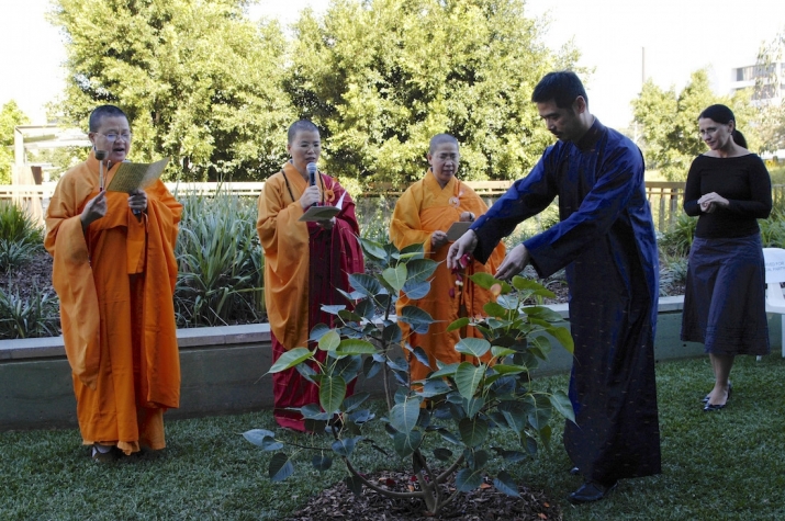 Sacred blessing of the Bodhi Tree in Brisbane. Image courtesy of Queensland Cultural Centre