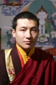 Trinley Thaye Dorje. From wikipedia.org