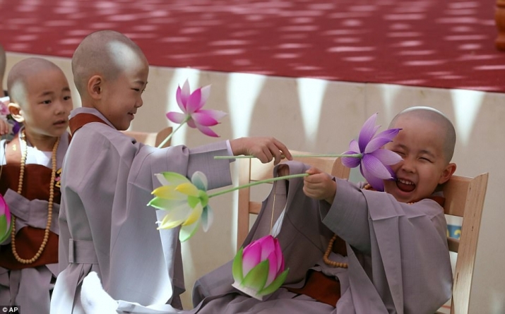The boy monks playing with lotus lanterns. From mailonline.com