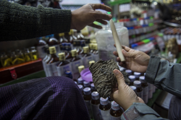 A vendor tries to sell a chunk of dried elephant skin and a tusk at a traditional medicine shop in Myanmar’s Mon State. From eaglenews.ph