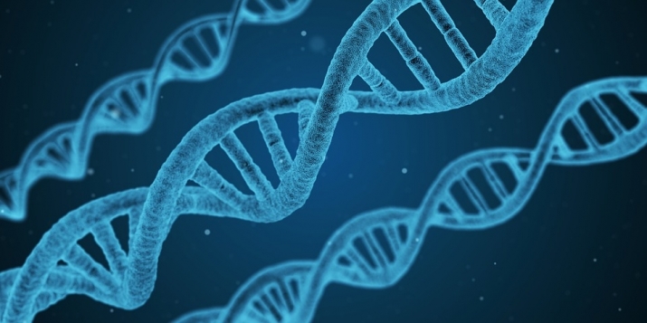 DNA strands. From pixabay.com