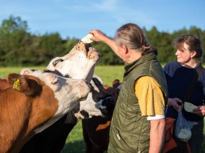 The 59-year-old farmer is turning his former cattle farm into a producer of vegan crops. From metro.co.uk