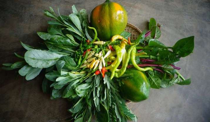 Vegetables from the garden. Image courtesy of the author