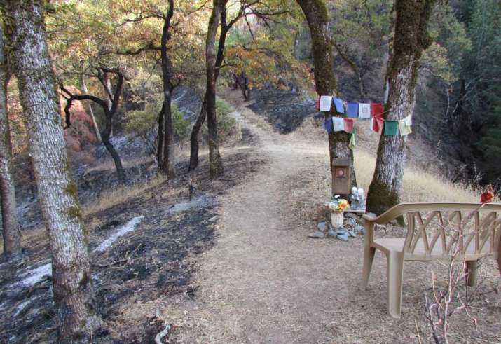 Thank you to the firefighters who prevented Steven Cope's shrine from burning. From abhiyagiri.org