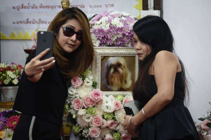 Pimrachaya Worakijmanotham, left, and friend take a selfie with a photo of her dog, Dollar, during the pet's funeral. From japantimes.co.jp