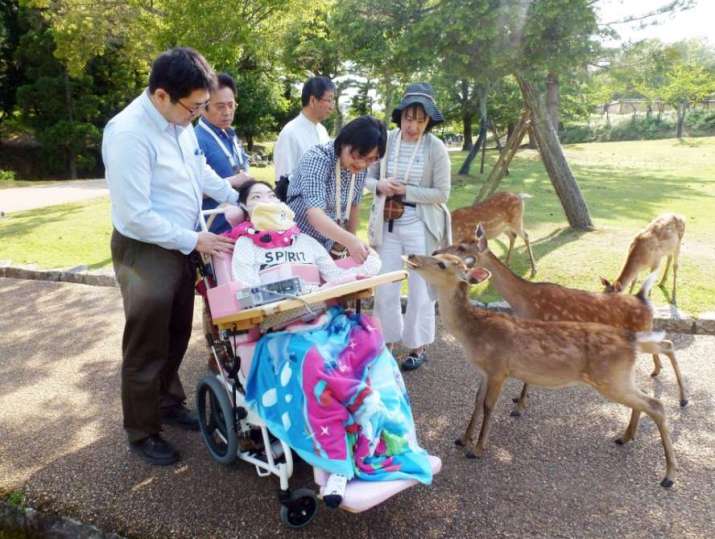 Misato visits nearby Nara Park and feeds rice crackers to the deer. From kyodonews.net