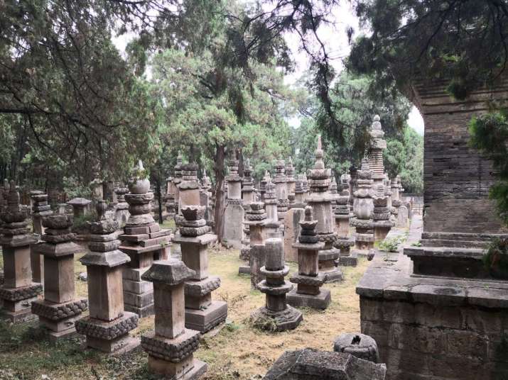 Relic stupas of eminent monks dating to between the Northern Wei and Qing dynasties. Photo by the author