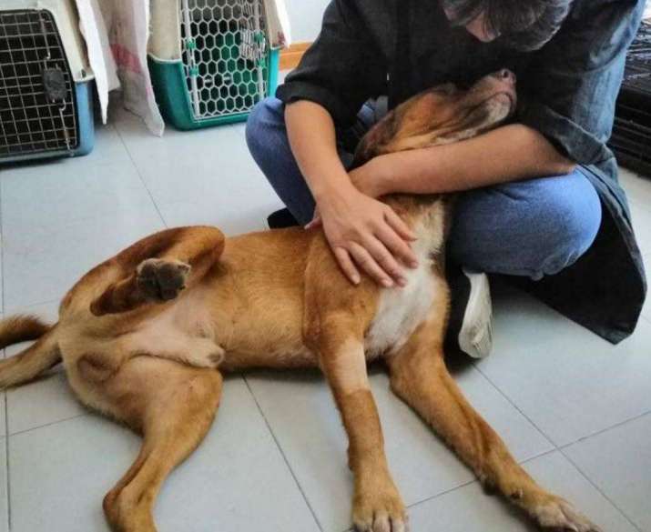 Boonrod furthering his recovery with Watchdog Thailand. Image from Watchdog Thailand on Facebook