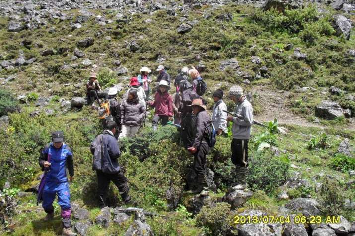 Foraging for medicinal herbs in the Himalaya. Image courtesy of the author