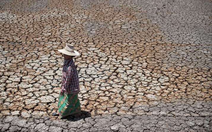 A farmer stands in a desiccated field. From telegraph.co.uk