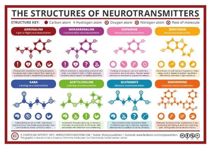 Chemical structures of neurotransmitters. From compoundchem.com