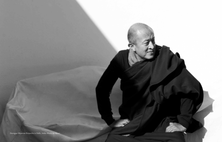 Dzongsar Jamyang Khyentse Rinpoche. From khyentsefoundation.org