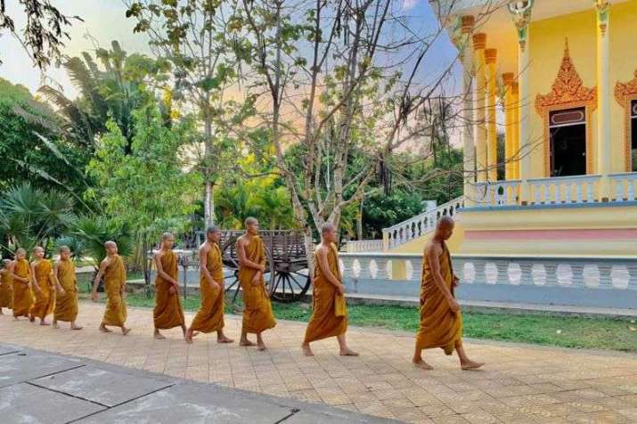 The monks have planted more than 3,000 trees and grow rice and vegetables. From phnompenhpost.com