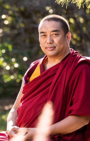 Ven. Tenzin Choesang. From dalailamalearningcenter.org