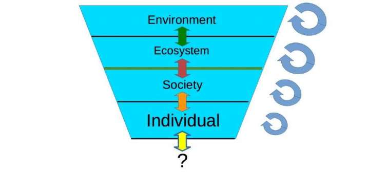 Fig. 1. The current vision of individual-society-environment interactions, in which individuals are located at the base, sustaining the rest and, in parallel, the importance of conceptualizing individuals as the mainstay of this construction is not recognized. Image courtesy of the author