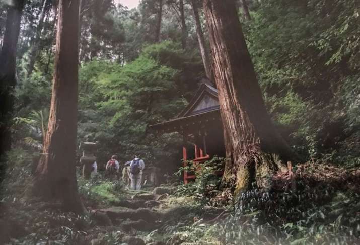 Pilgrims pray at small shrines in the forest. Photo by Takeshi Mori