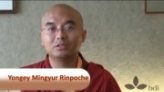 Teachings of Mingyur Rinpoche 3 - Part 5