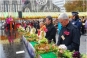 2007 Buddha's birthday celebration in Christchurch , New Zealand