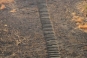 Rock cut stair leading to Kanheri