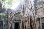 Ta Prohm