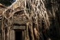 Ta Prohm