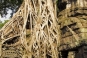 Ta Prohm