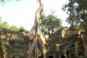 Ta Prohm