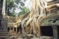 Ta Prohm