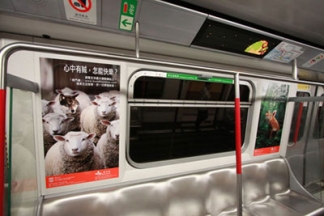 Buddhistdoor Advertisement appears at MTR Train, Hong Kong