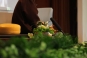 Zen Master Thich Nhat Hanh - Awaken to Joy at Our Meditation Retreat (Day 4) Photo