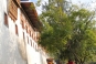 Outside walls of Punakha Dzong, second largest dzong in Bhutan © Venerable Si Hua