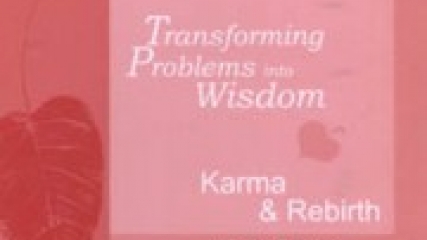Transforming Problems into Wisdom