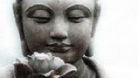 Discovering Buddhism - Developing Bodhicitta