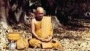 Buddhist Practice