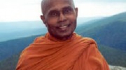 Introduction to Metta, by Bhante Gunaratana