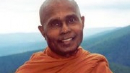 Alagaddupama Sutta - by Ven. Dr Henepola Gunaratana Nayaka Maha Thera